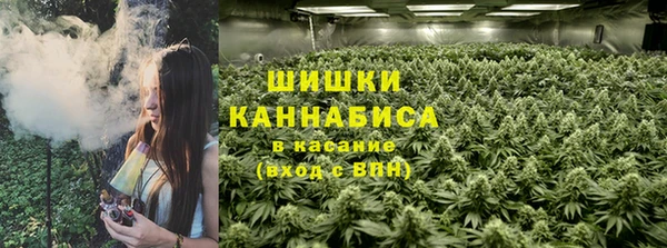 PSILOCYBIN Арсеньев