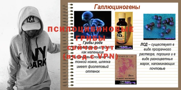 PSILOCYBIN Арсеньев