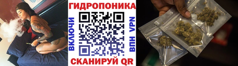Бошки марихуана White Widow маркетплейс состав Щигры